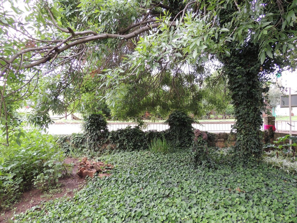 Wegkomkans B&B Fouriesburg Ngoại thất bức ảnh